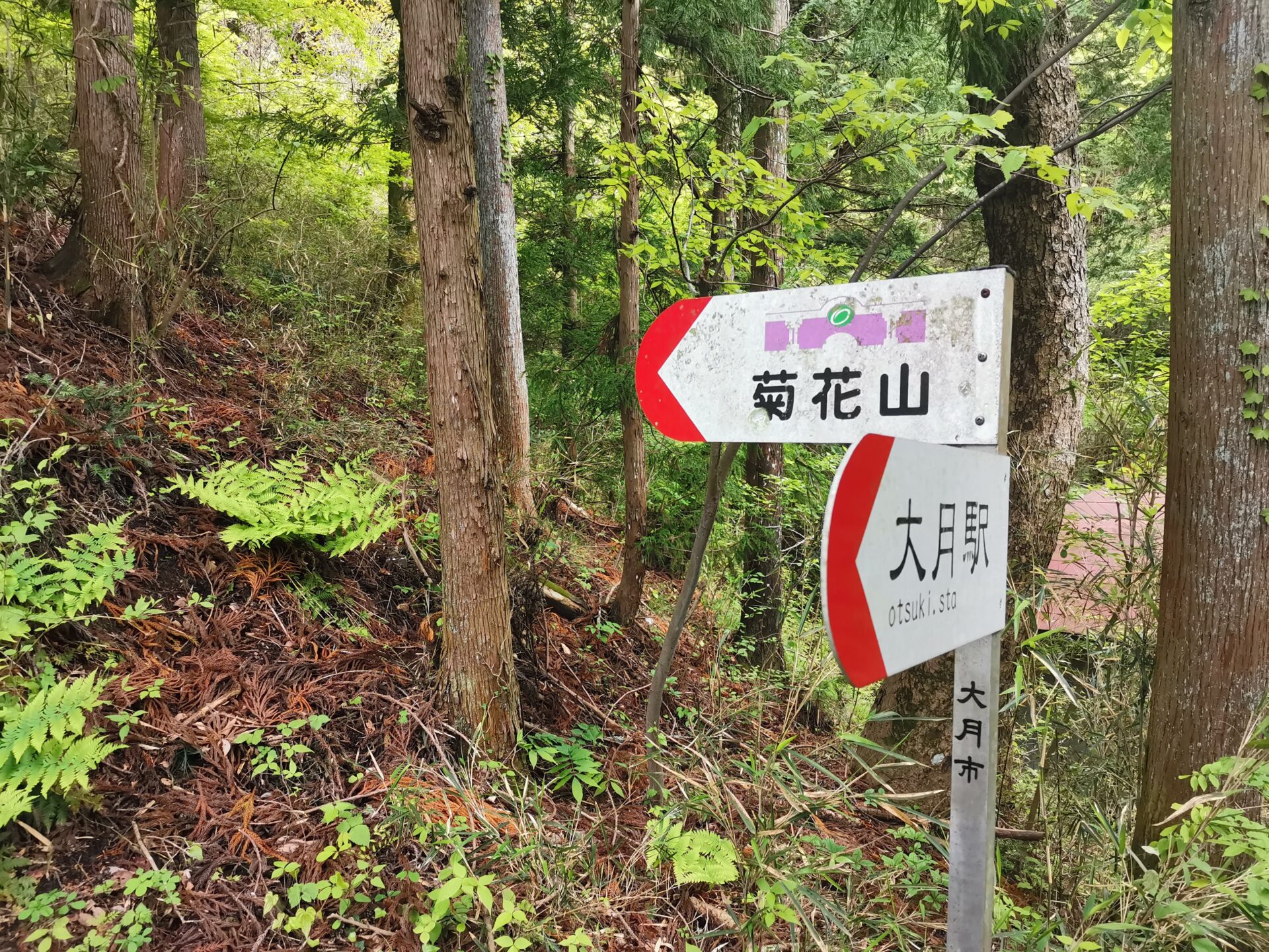 菊花山 道標