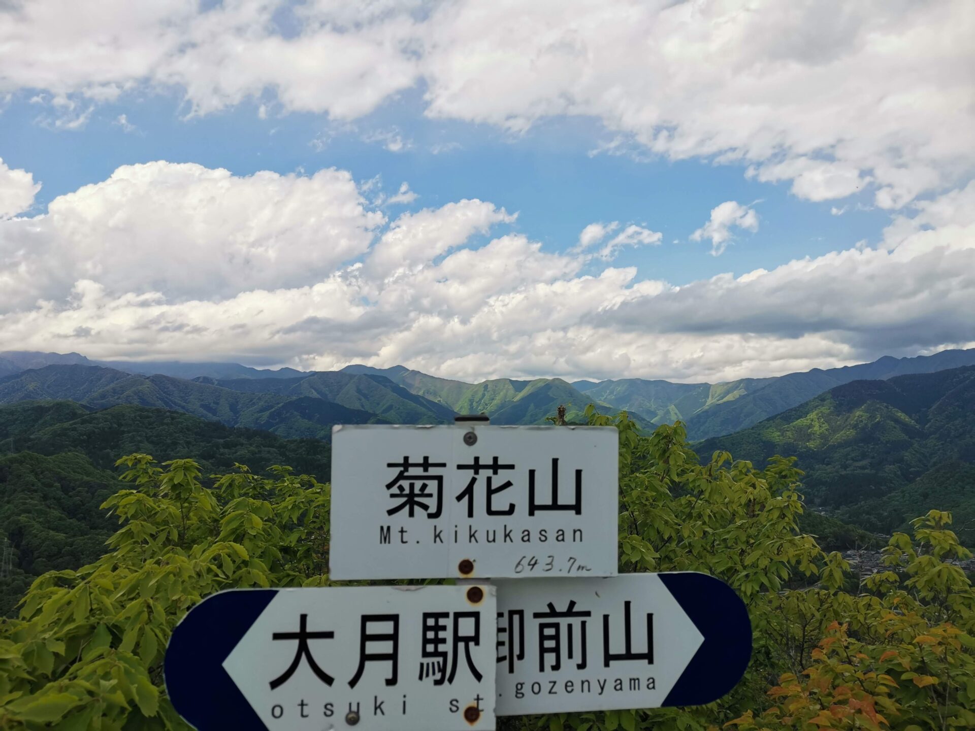 菊花山 山頂