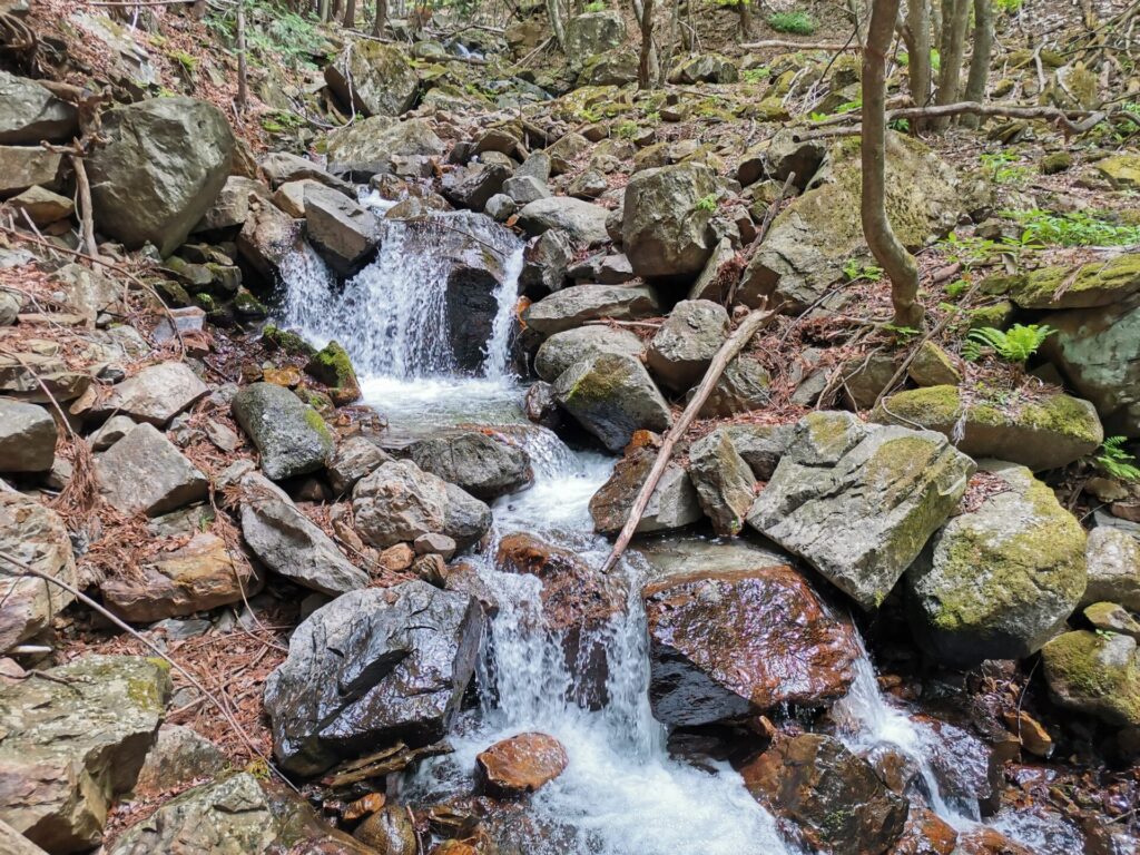 滝子山登山 駐車場情報 道証地蔵コースは沢と滝の景観は健在