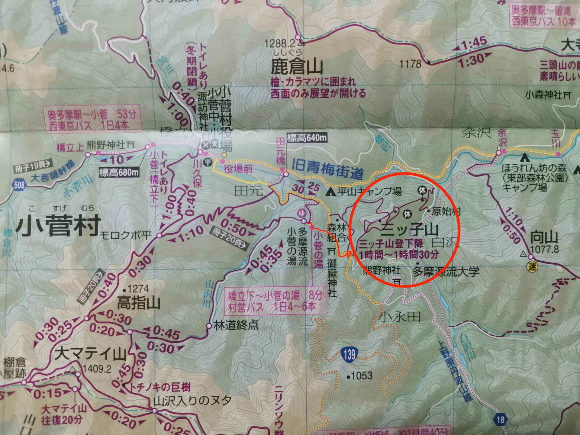 三ツ子山 ハイキングコース