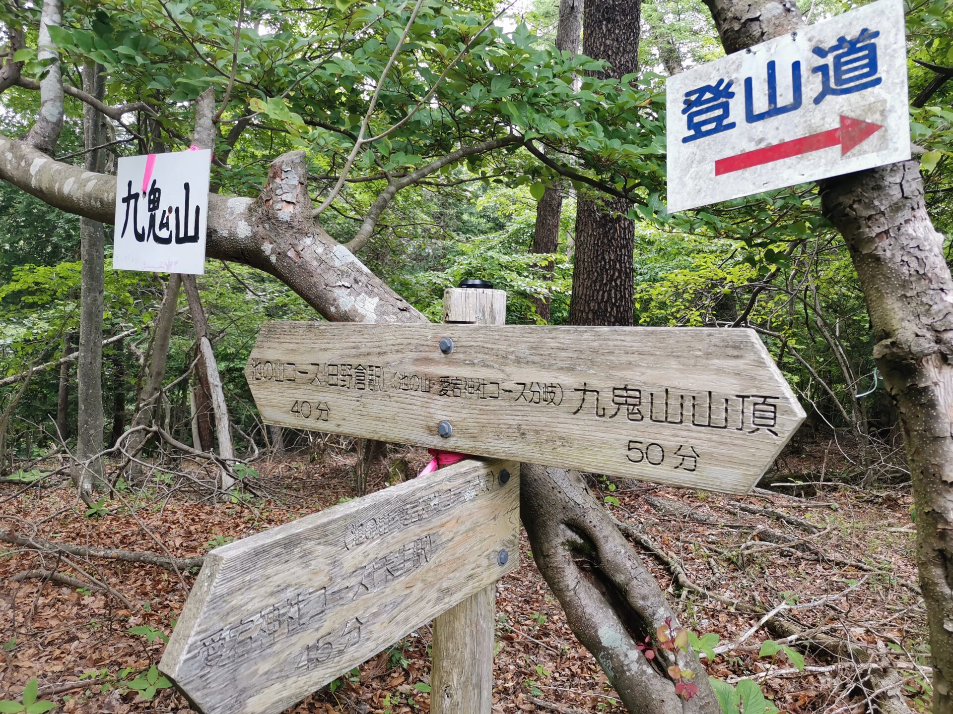 池の山 愛宕神社 コース 分岐