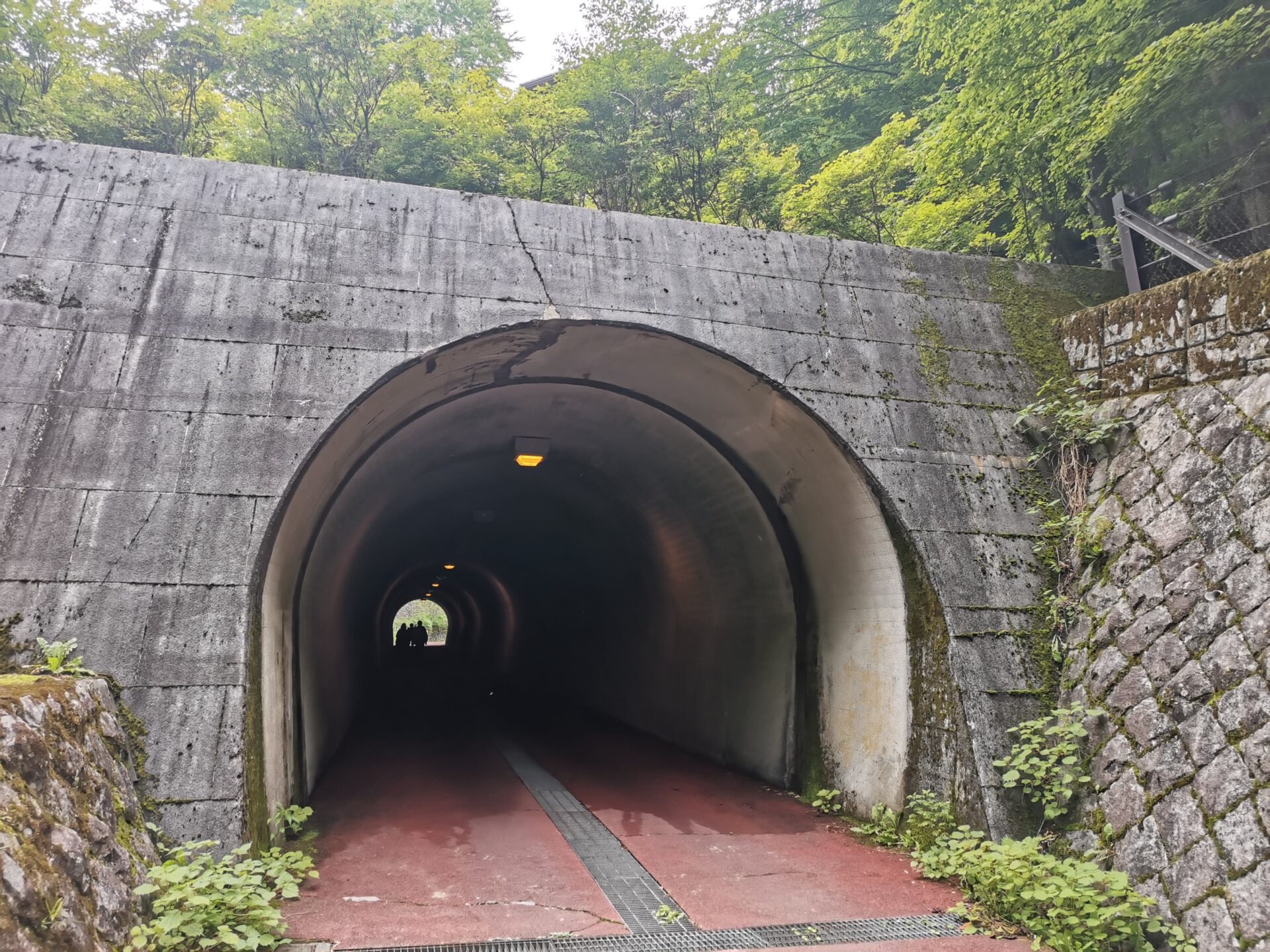 檜原都民の森 トンネル