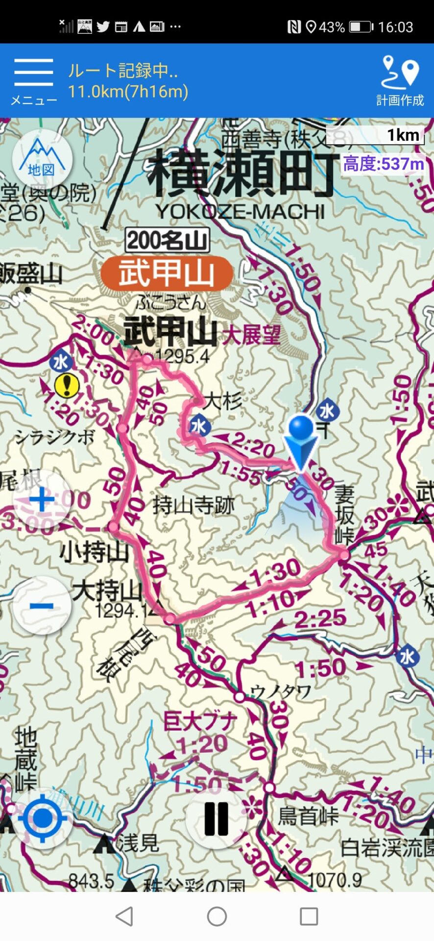 武甲山 地図