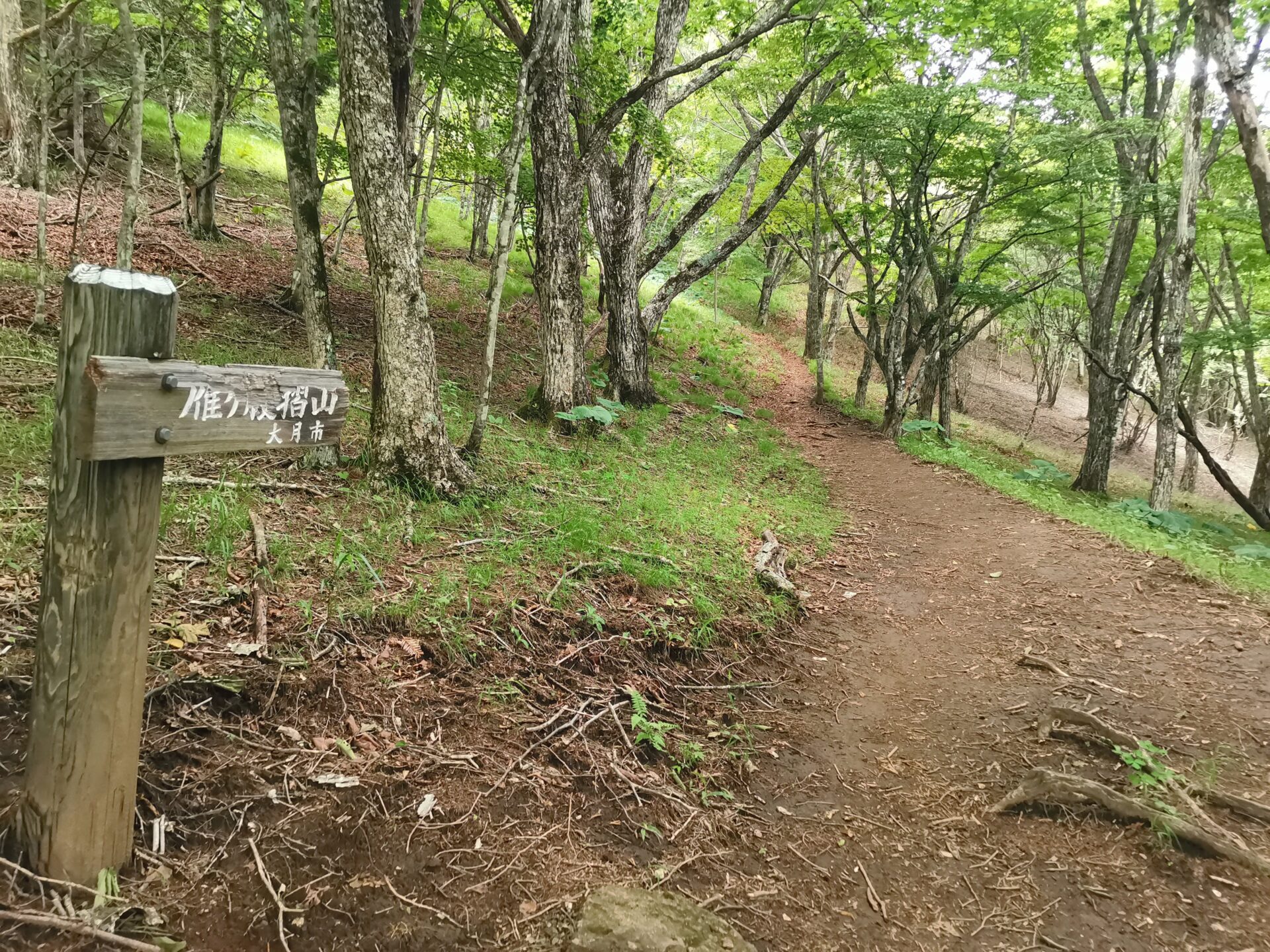 雁ヶ腹摺山 道標