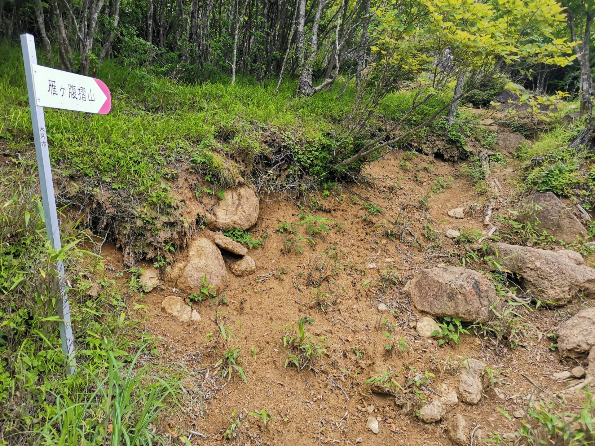 雁ヶ腹摺山 道標