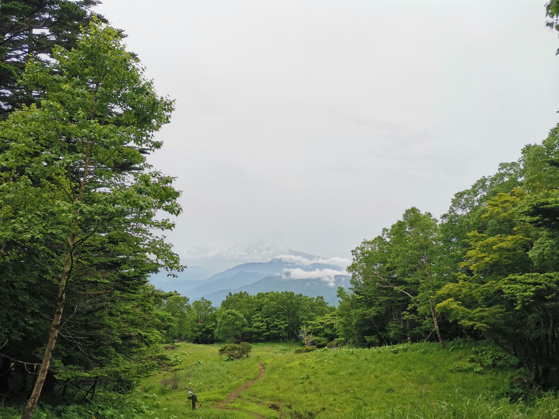 雁ヶ腹摺山