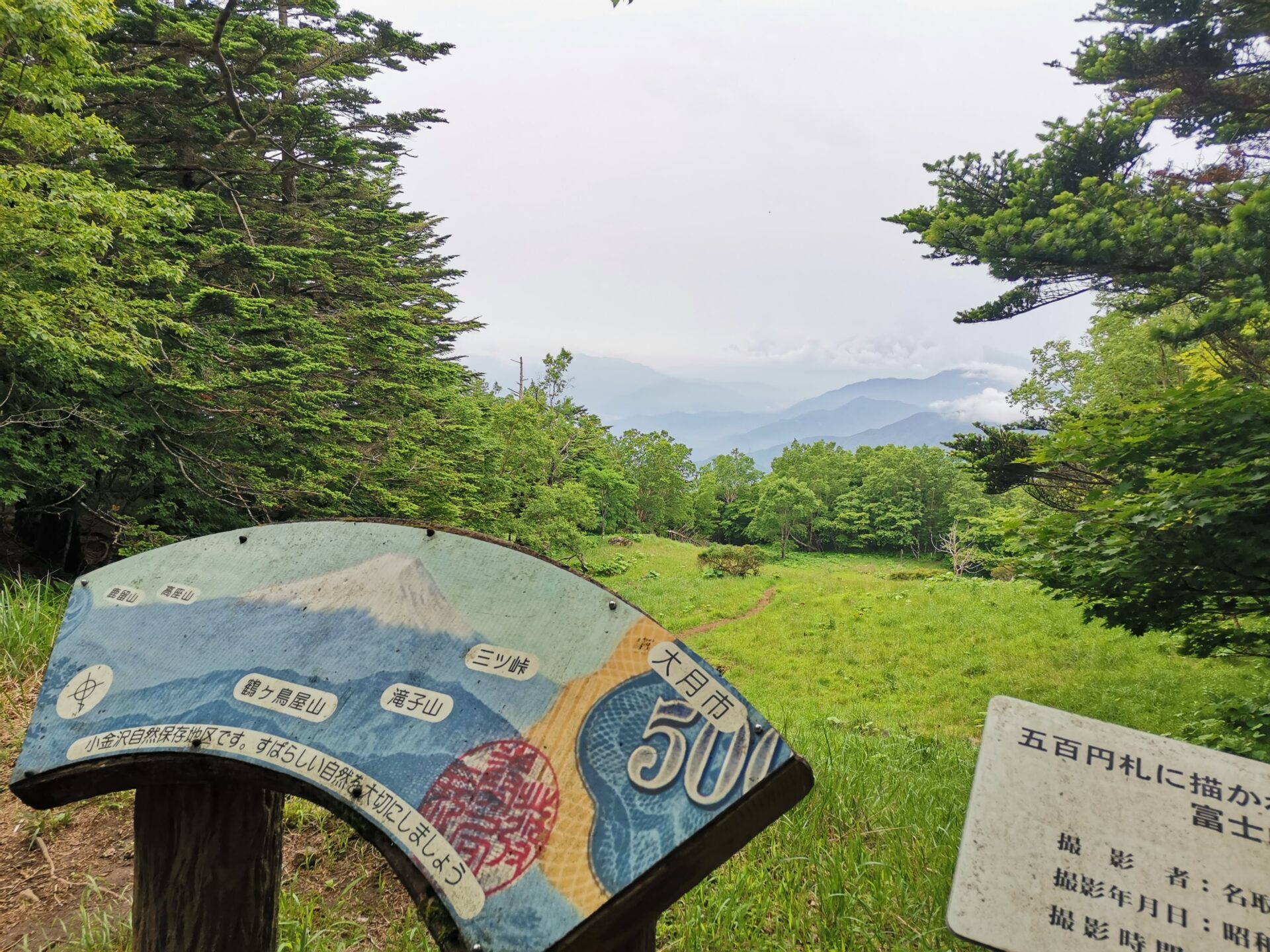 雁ヶ腹摺山 風景