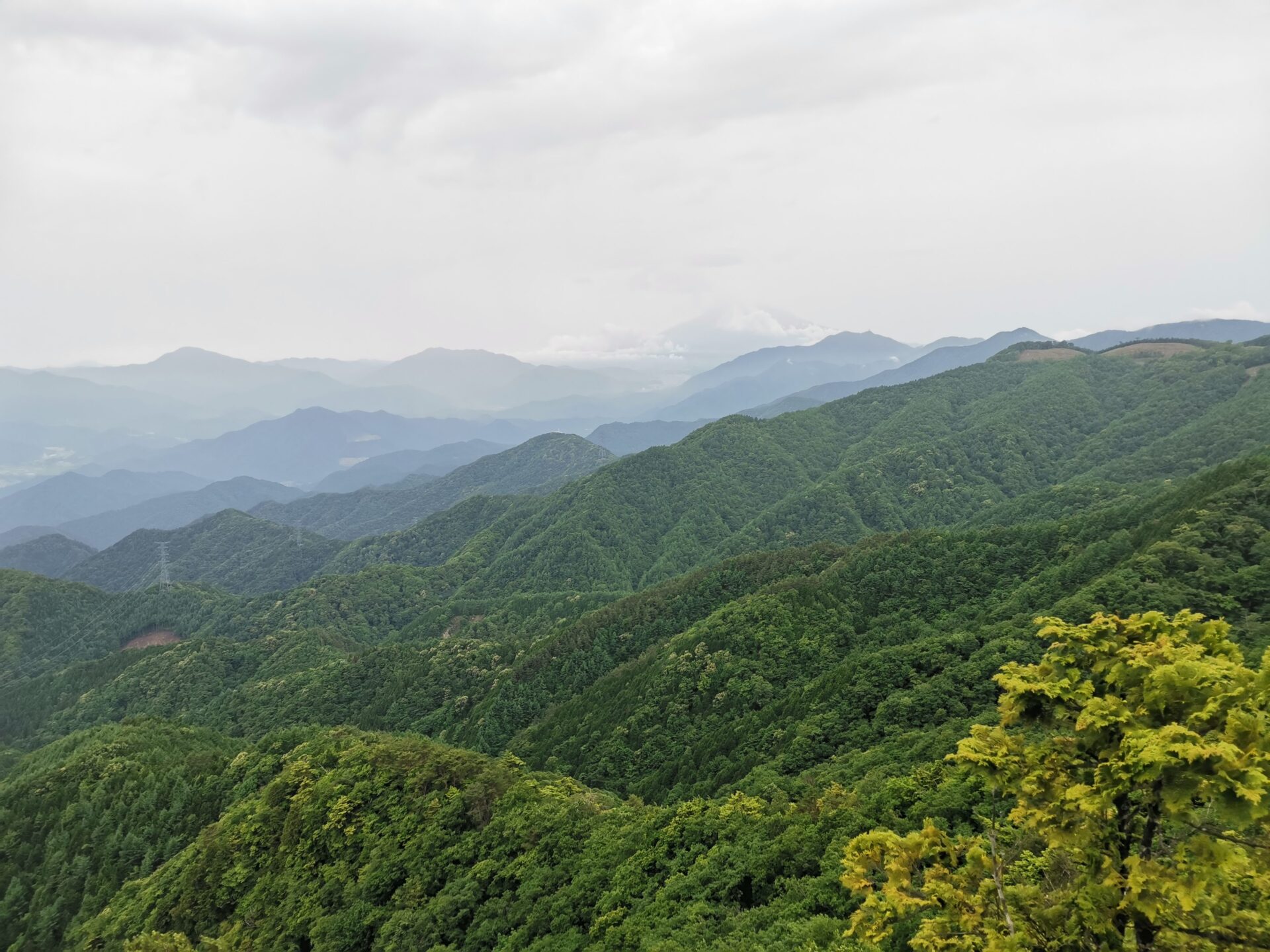 姥子山 富士山