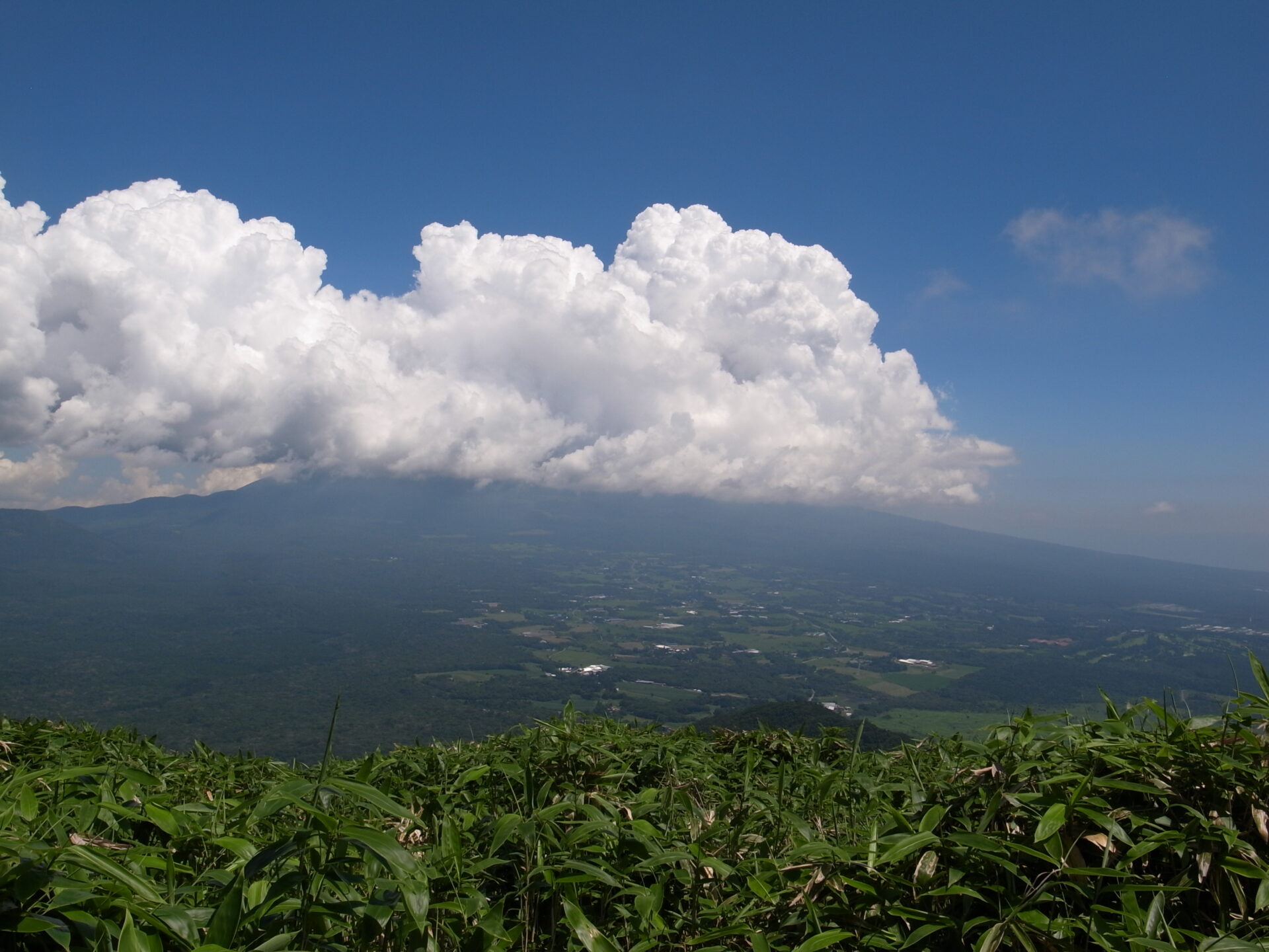 竜ヶ岳 富士山