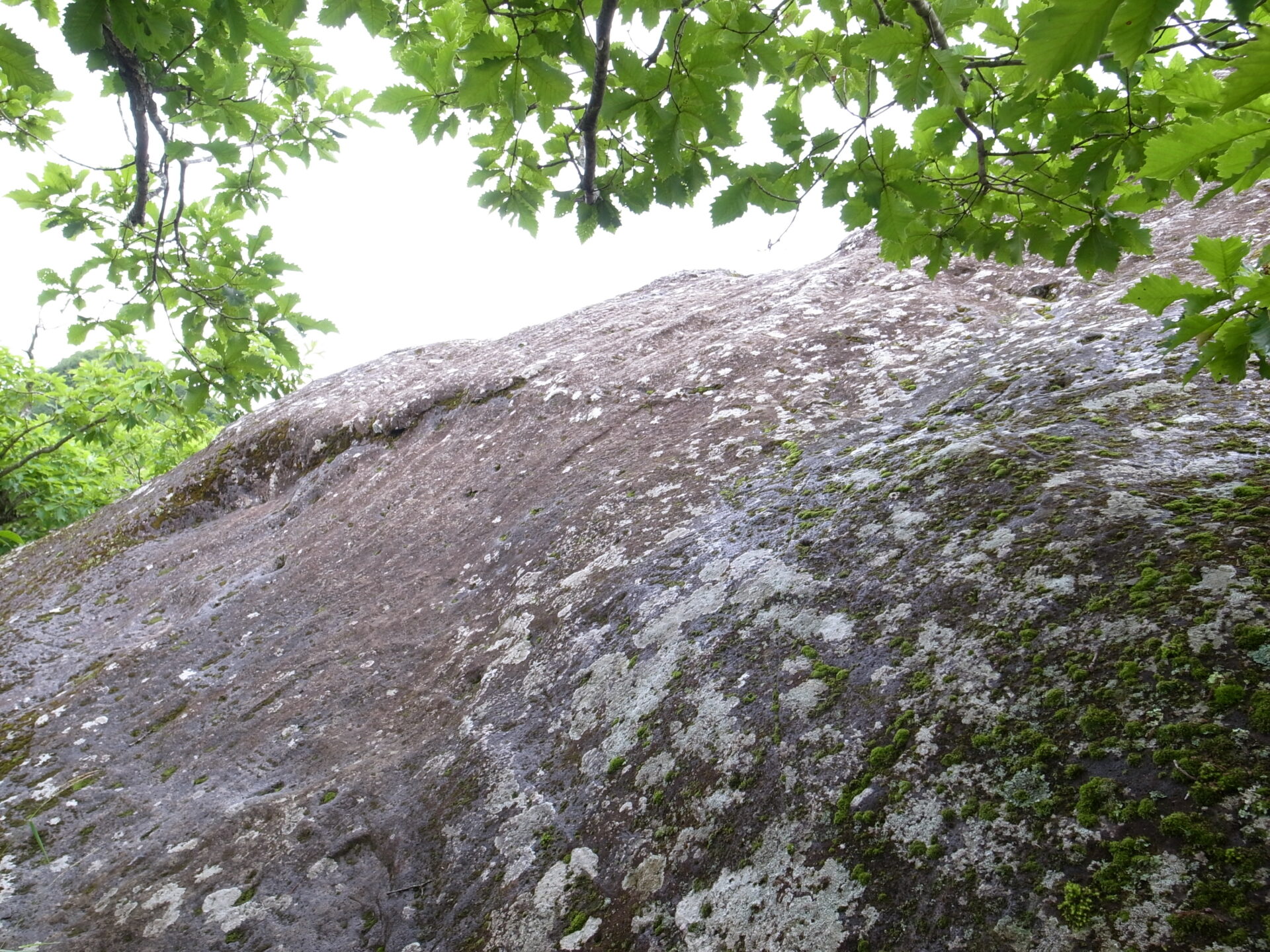 金ヶ岳 岩
