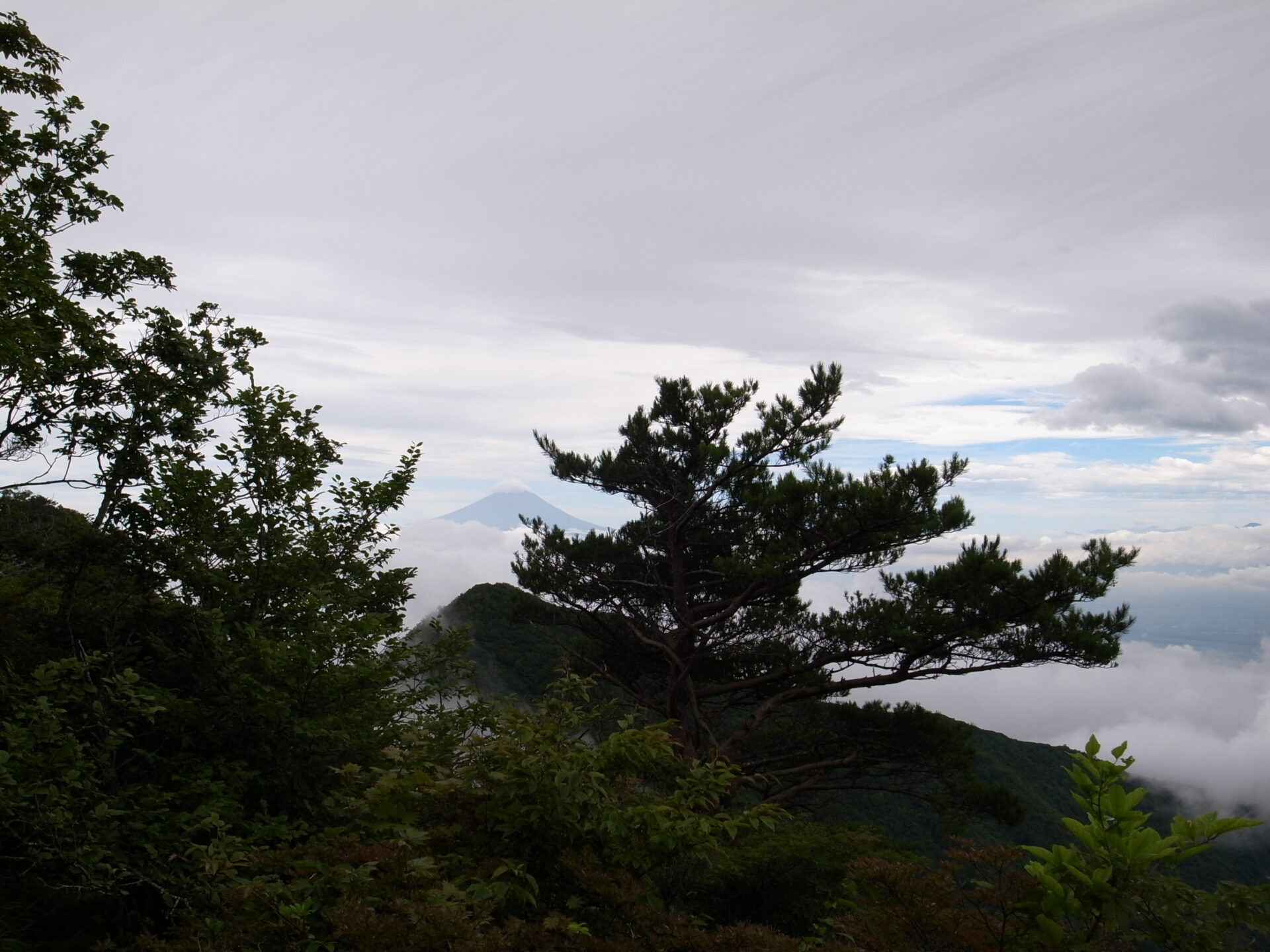 金ヶ岳 山頂 風景