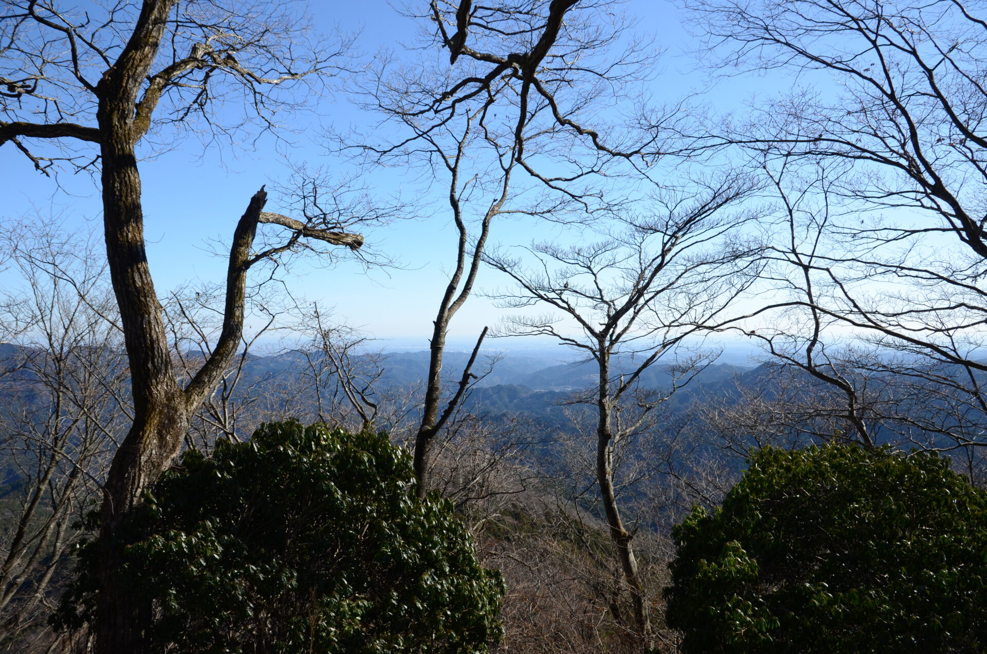 伊豆ヶ岳 山頂 風景