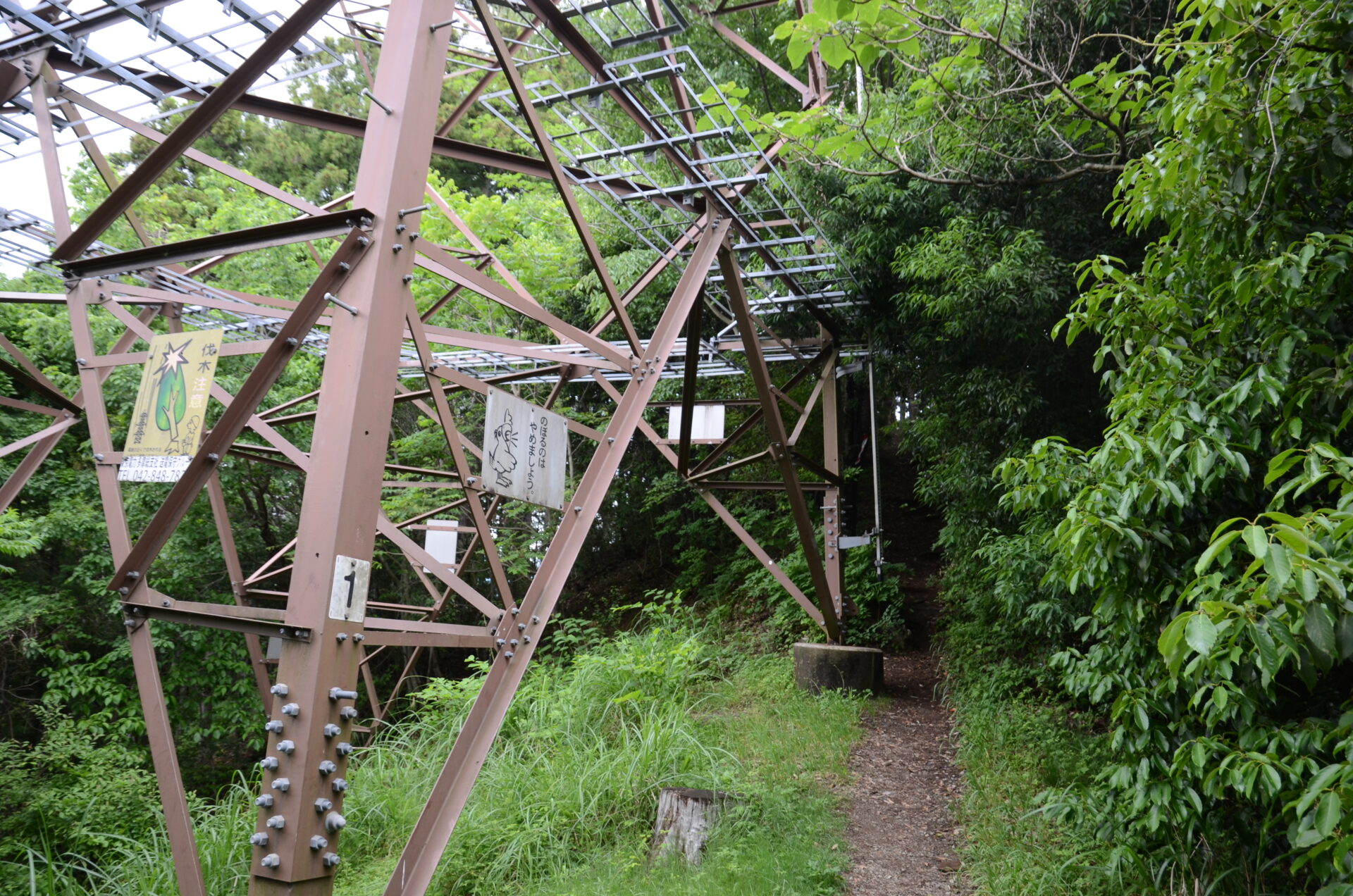 青梅丘陵ハイキングコース 鉄塔