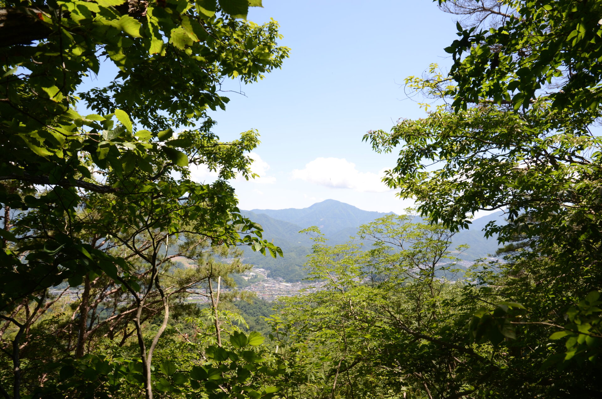 高川山 風景