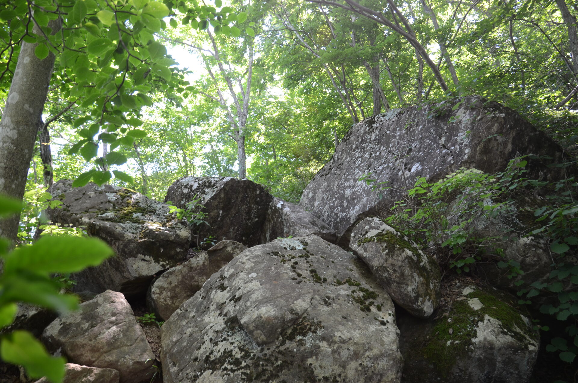 登山道 岩