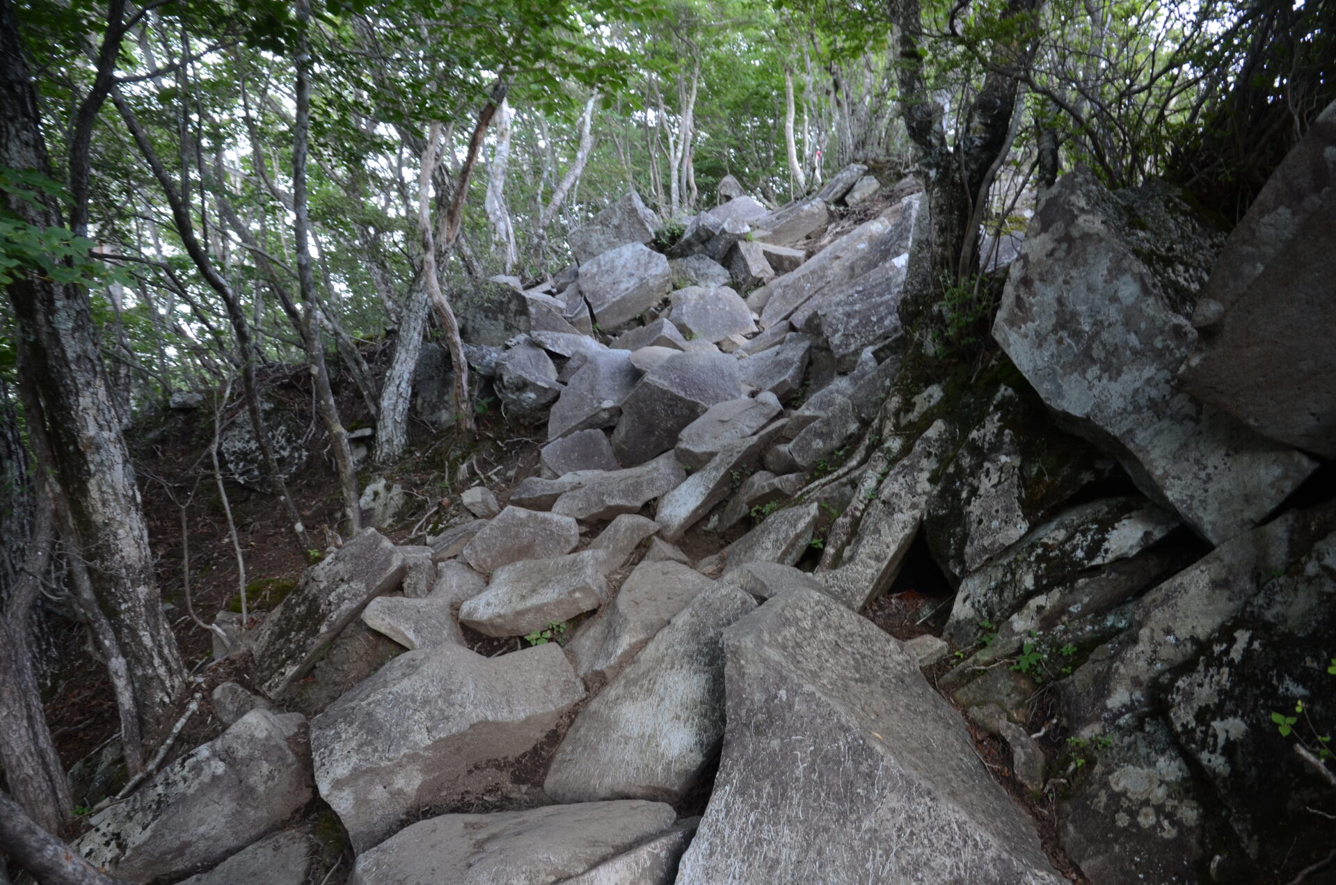 黒檜山 岩