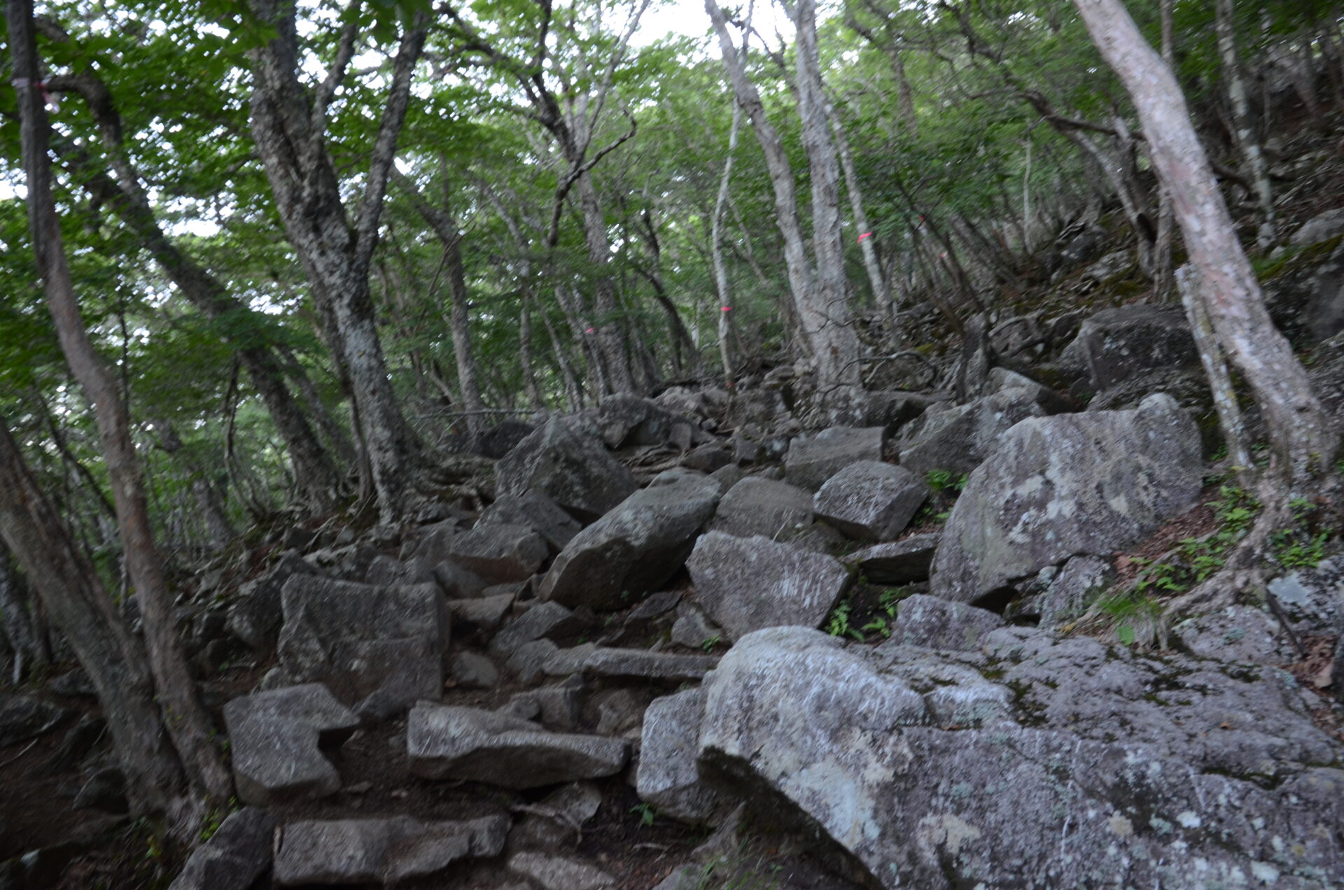 黒檜山 岩場