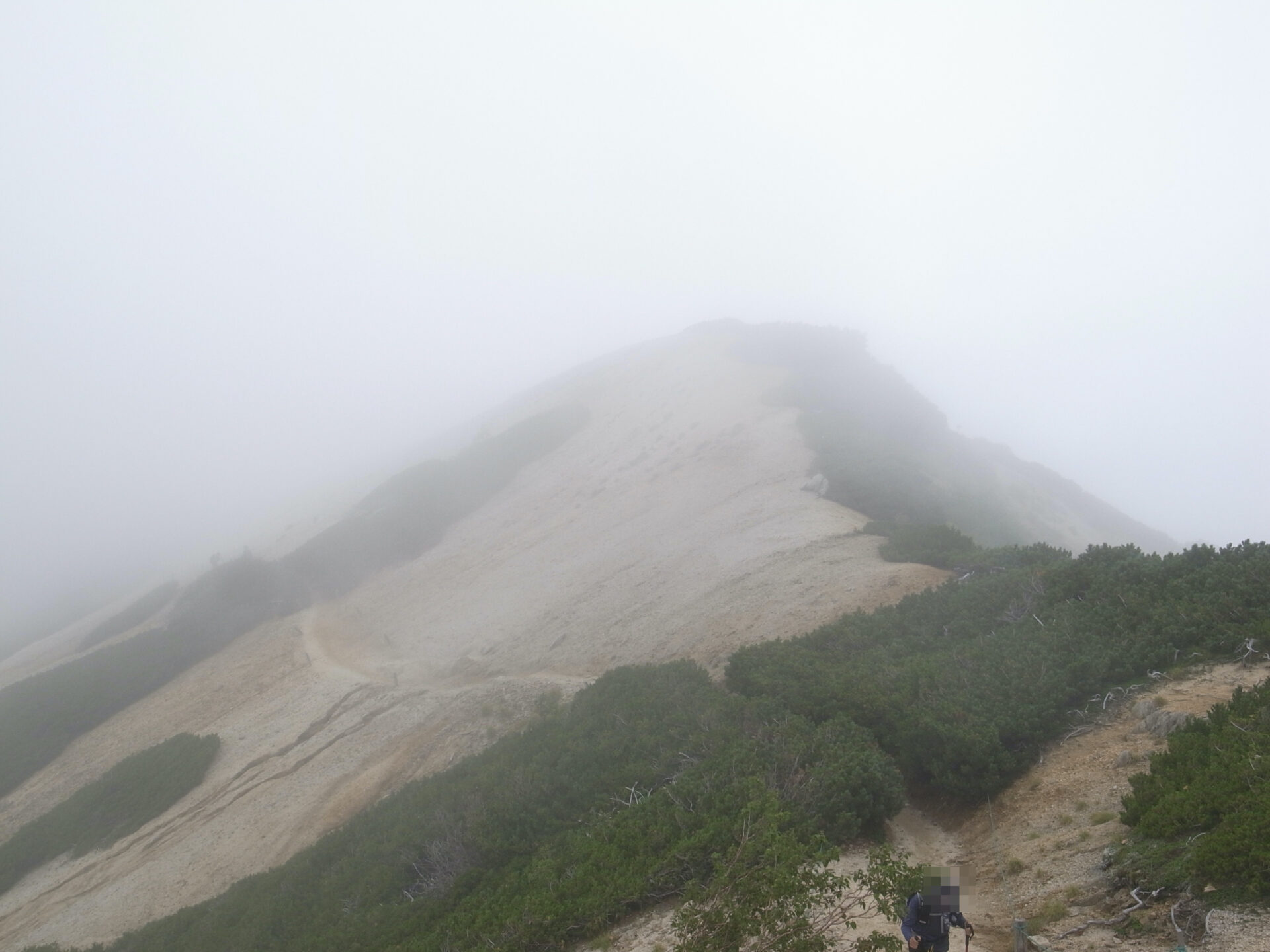 登山道 霧