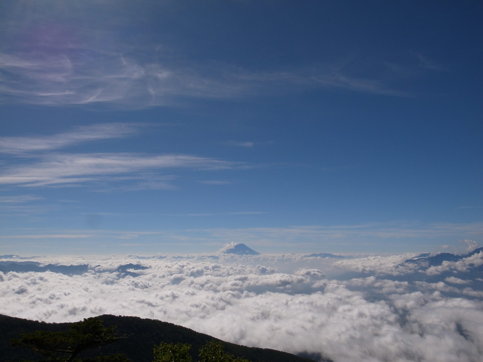 富士山 雲海