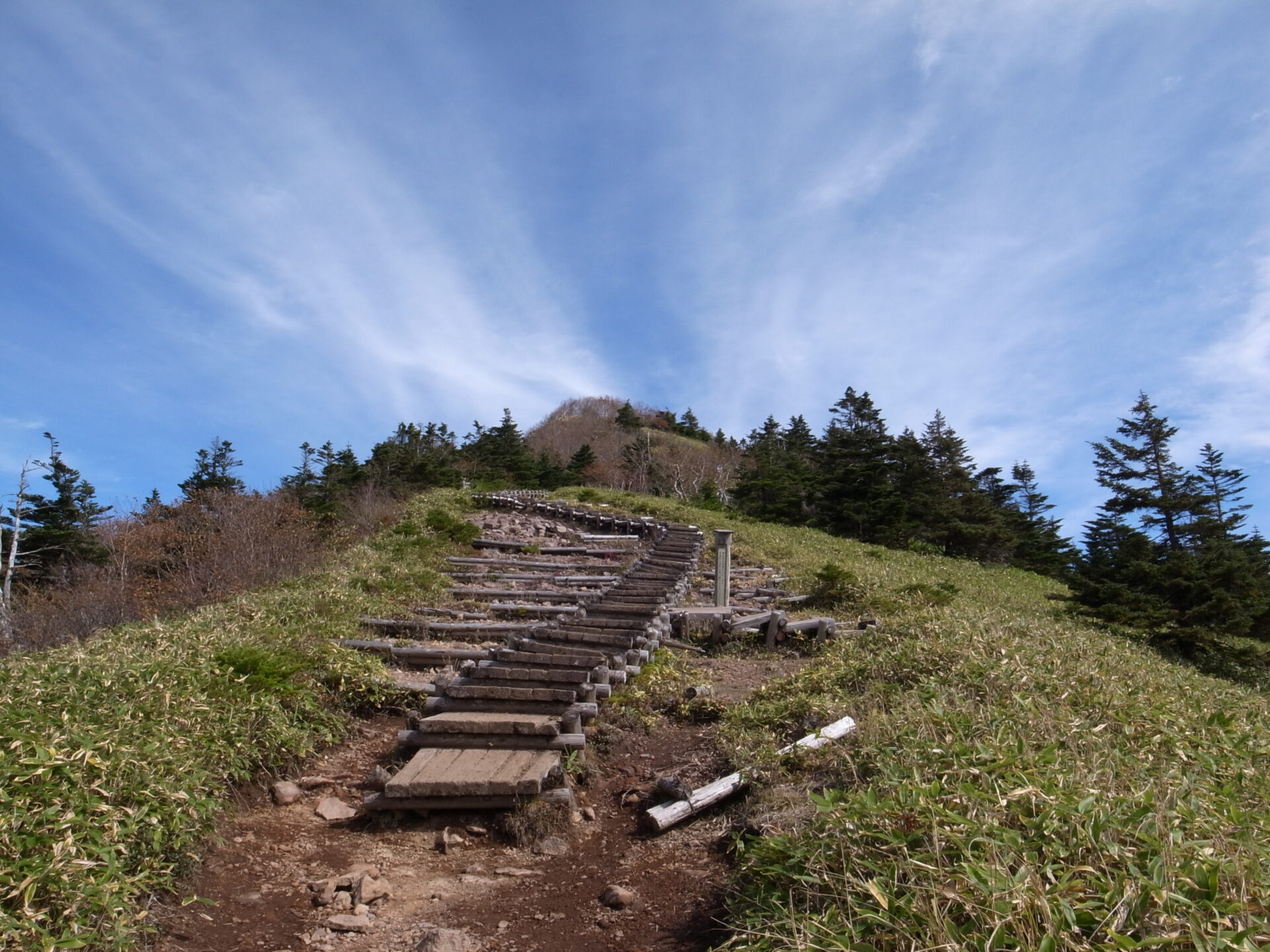 登山道 木 階段