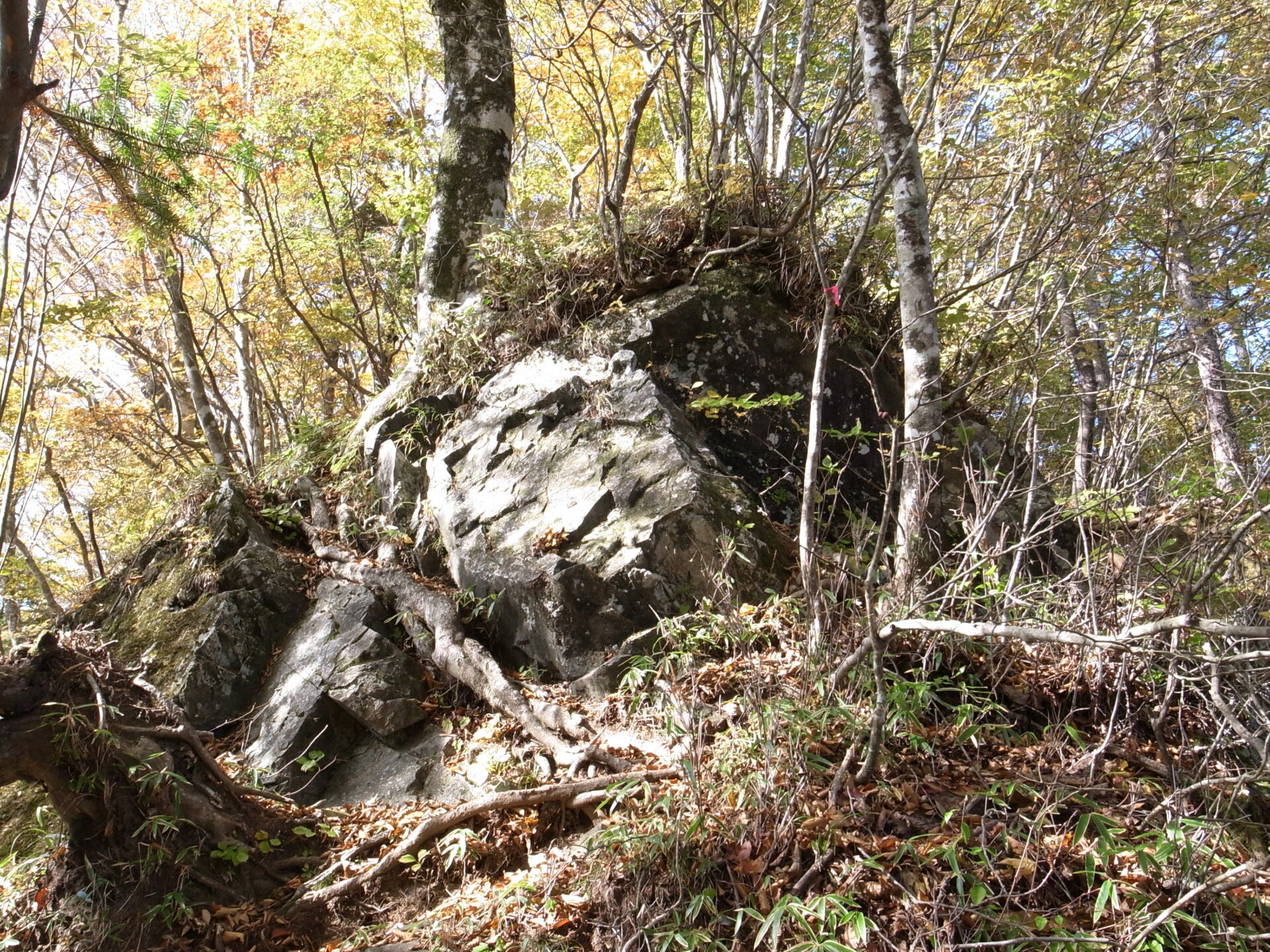 登山道 岩