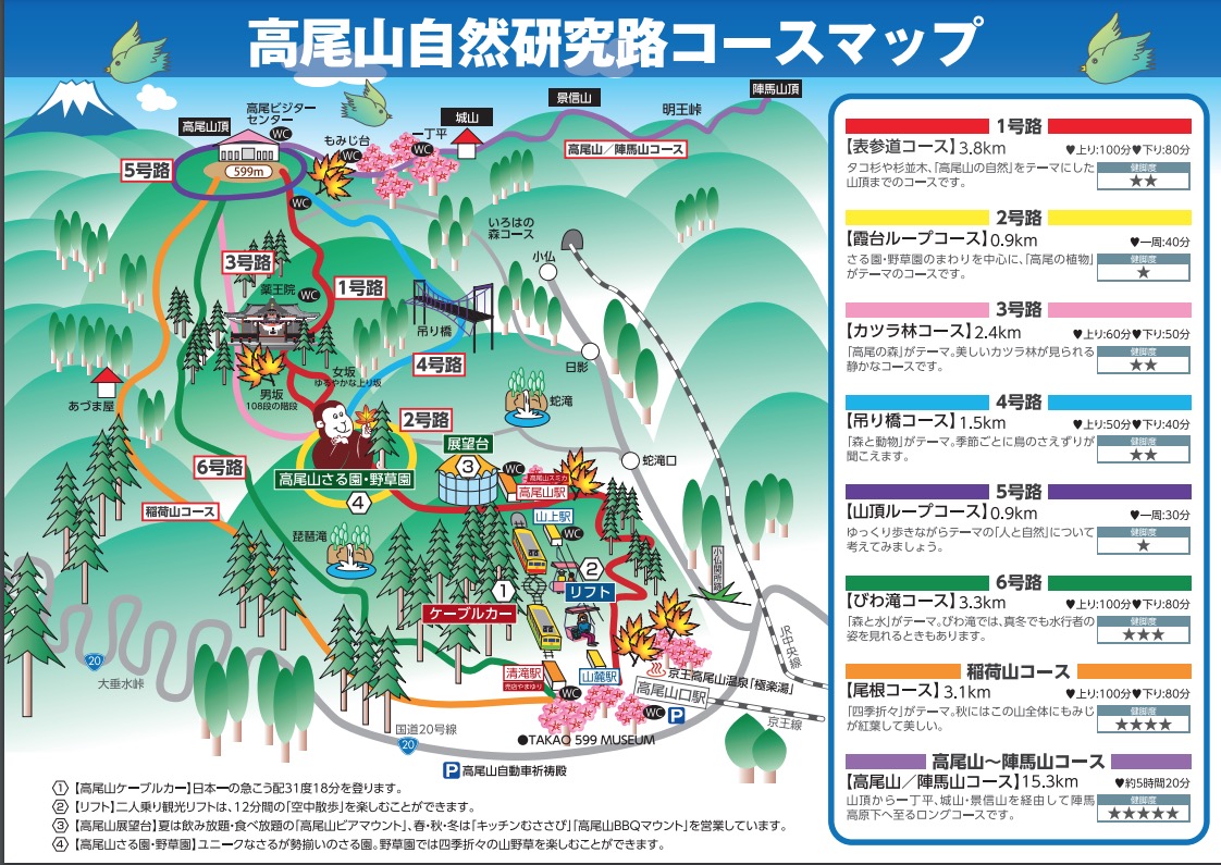 高尾山 自然研究路 コースマップ