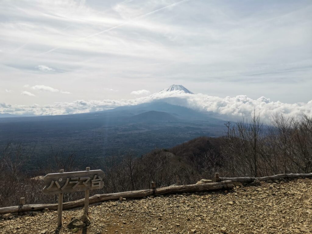 パノラマ台 富士山