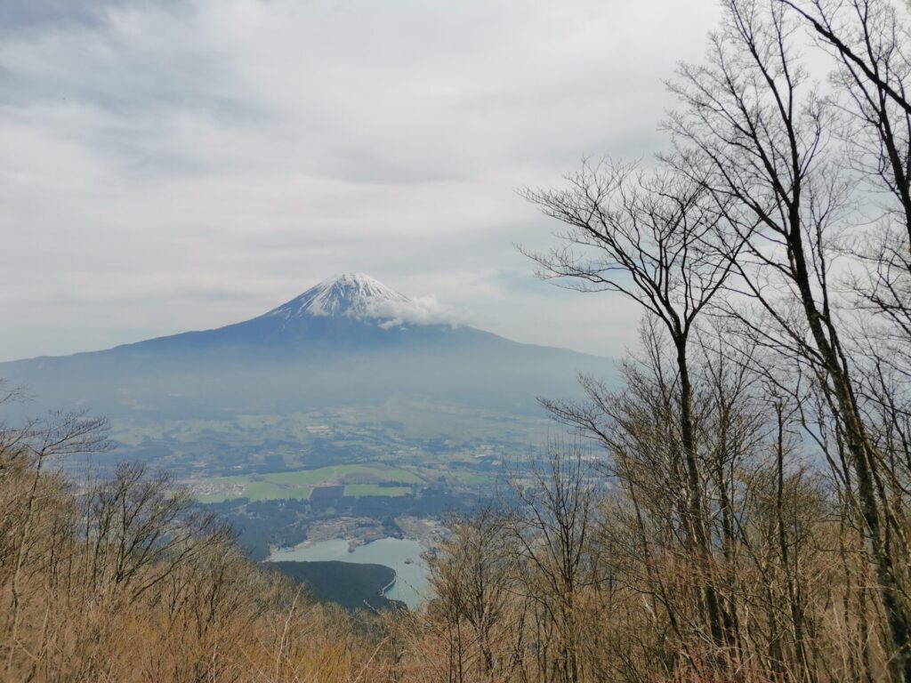 富士山 田貫湖