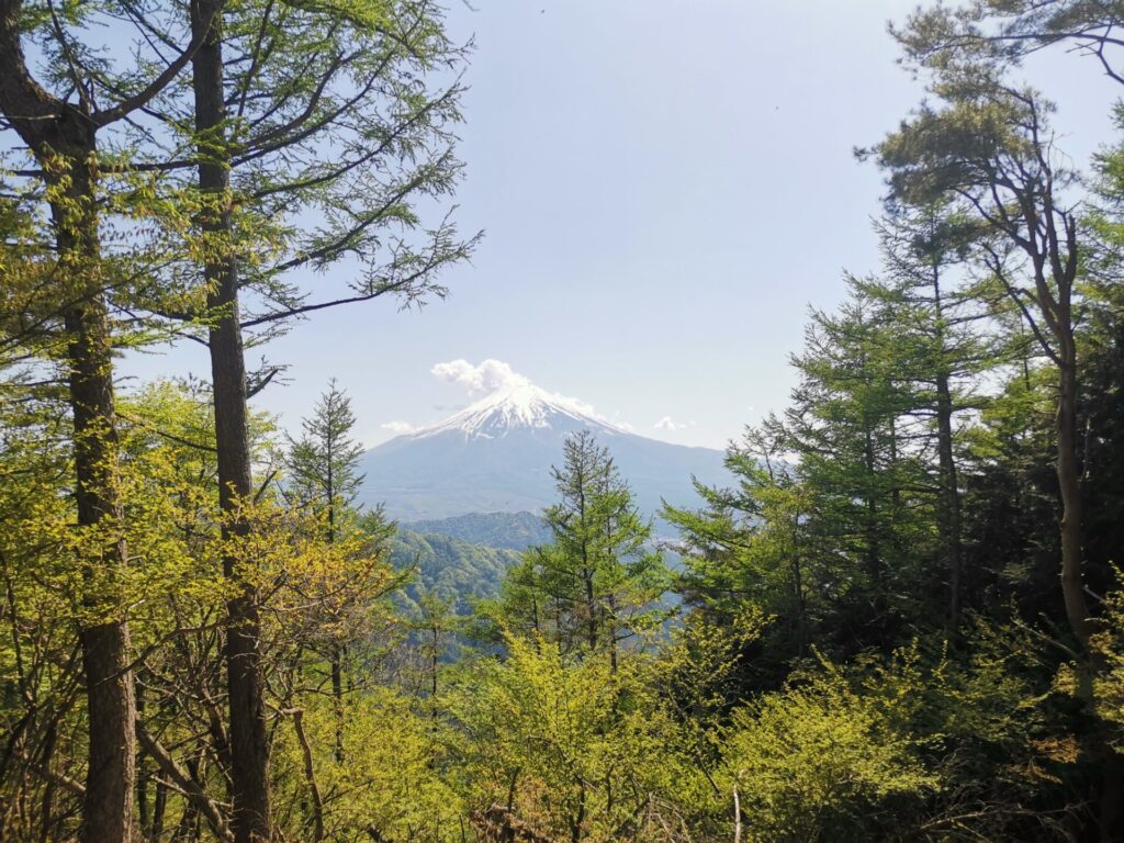 相定ヶ峰 富士山
