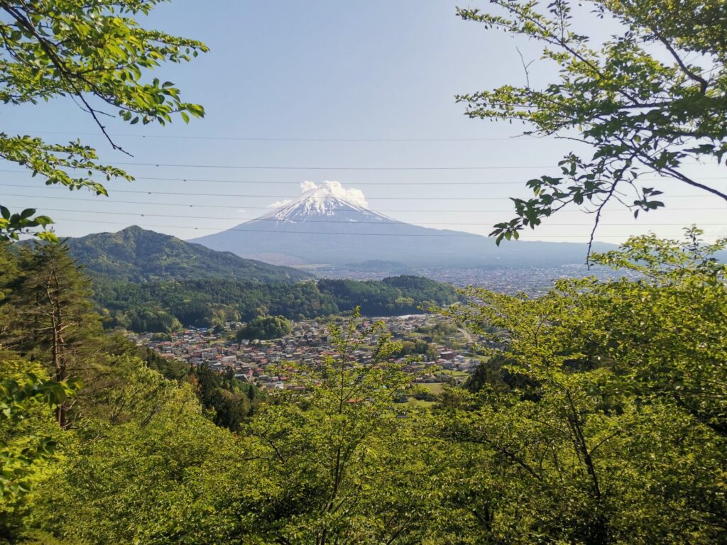 堂尾山公園 富士山