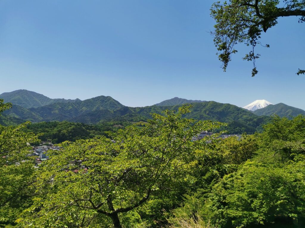 勝山城跡 城山