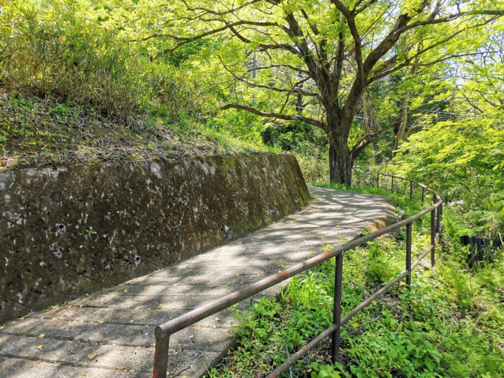 登山道