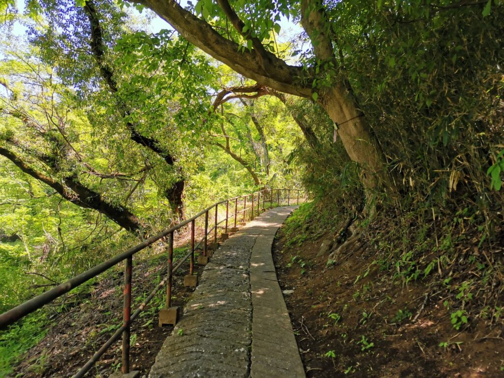 登山道