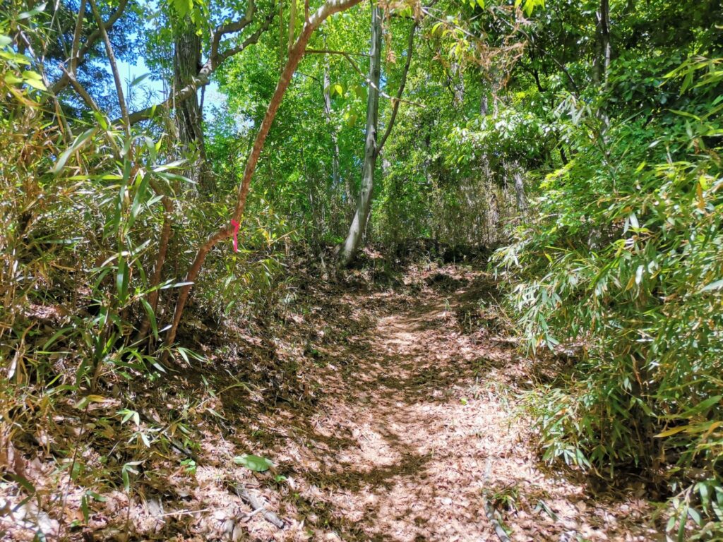 登山道