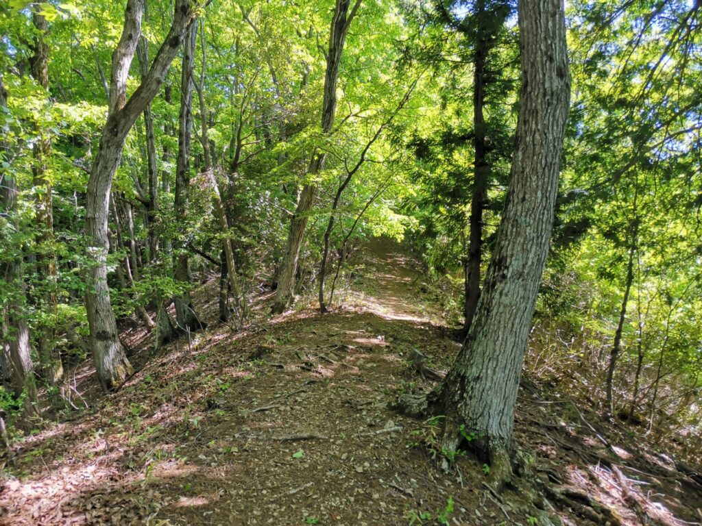 登山道