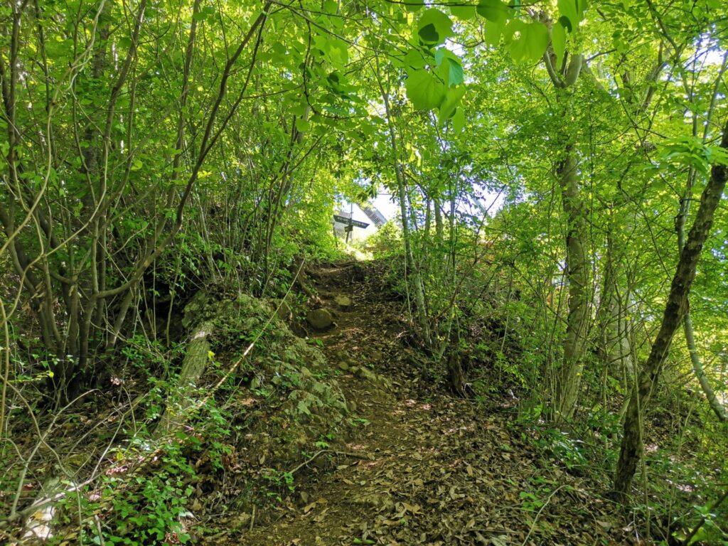 登山道