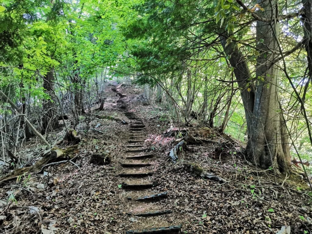 登山道