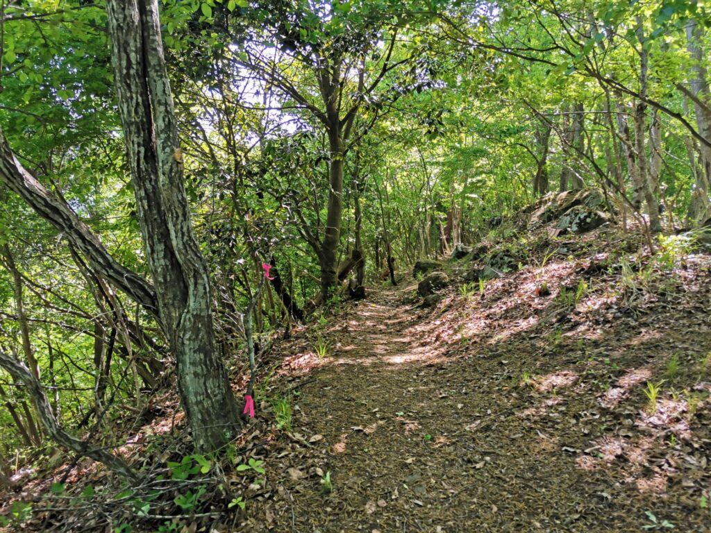 登山道