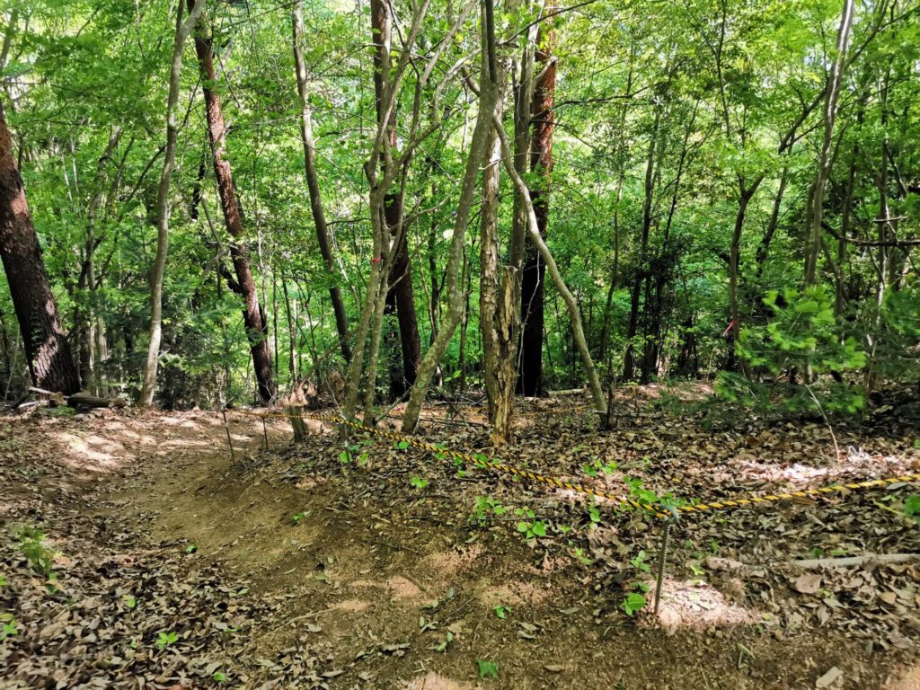 登山道