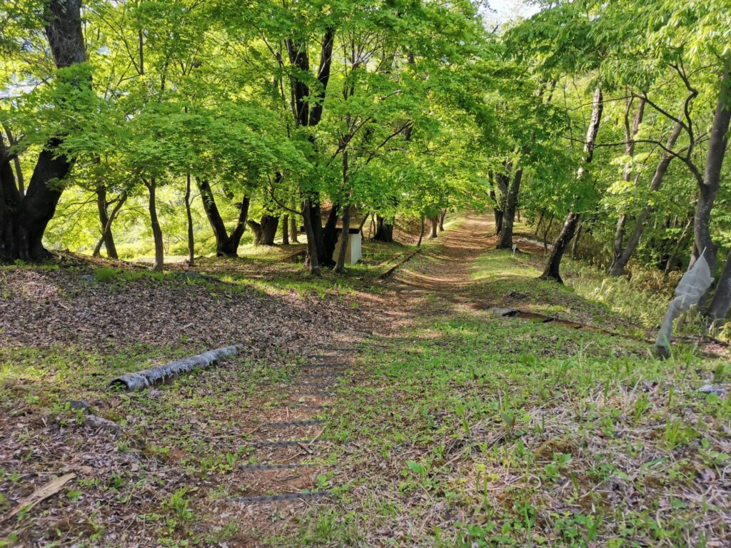 登山道