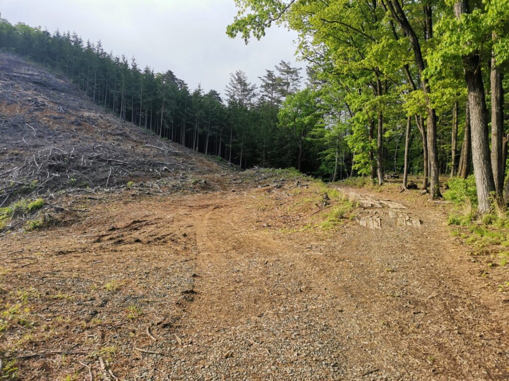 登山道 駐車場