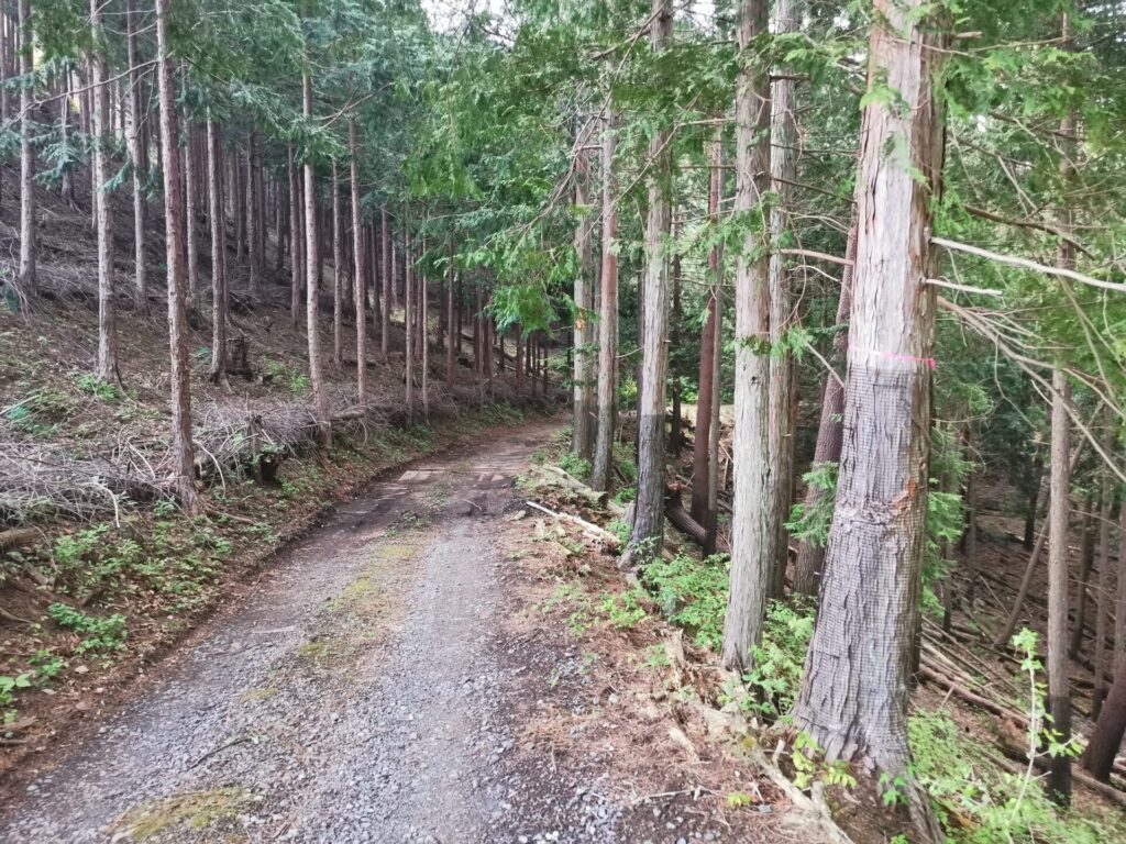 登山道