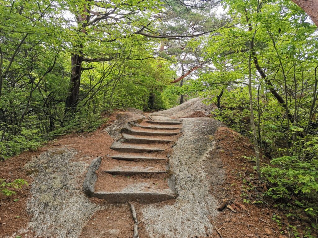 登山道