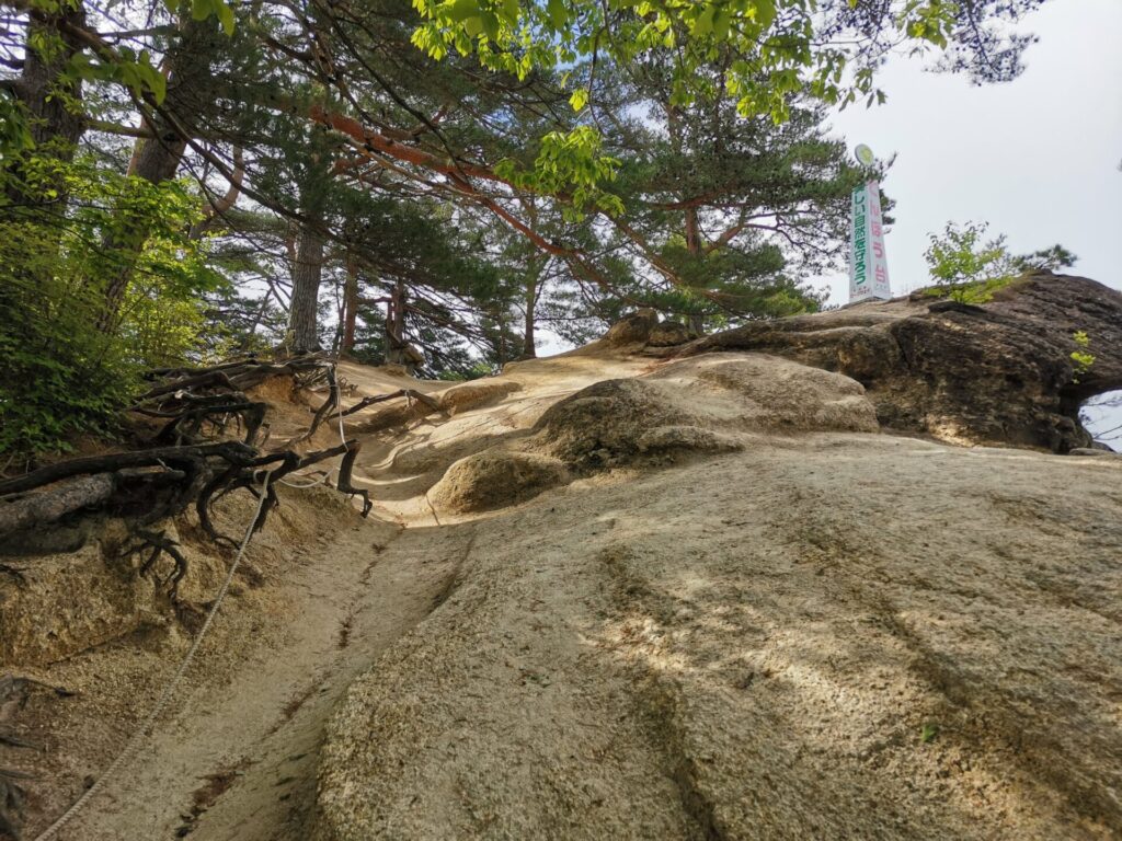 登山道