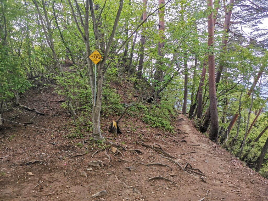 登山道