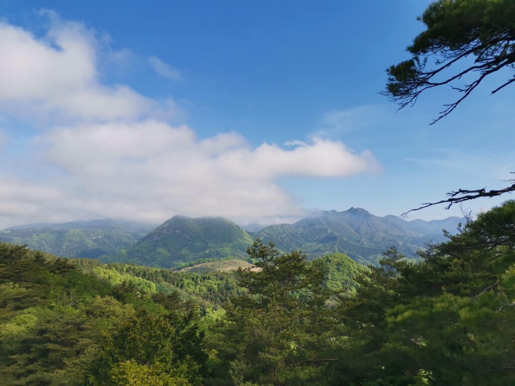 太刀岡山 黒富士