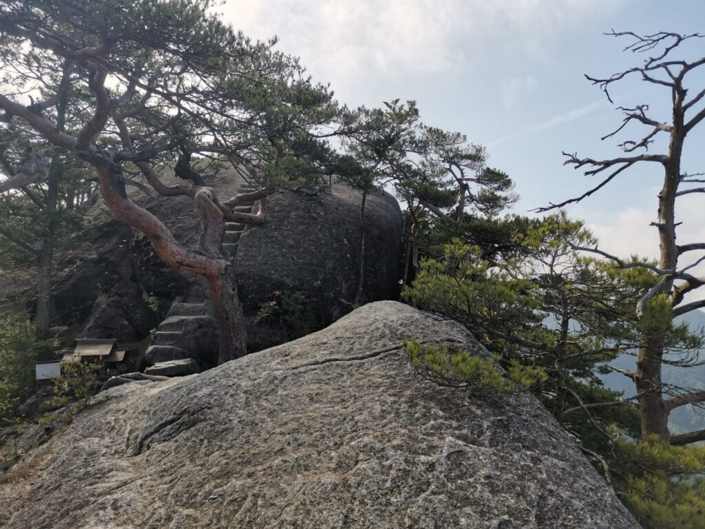 登山道 岩