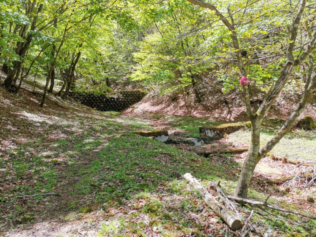 登山道