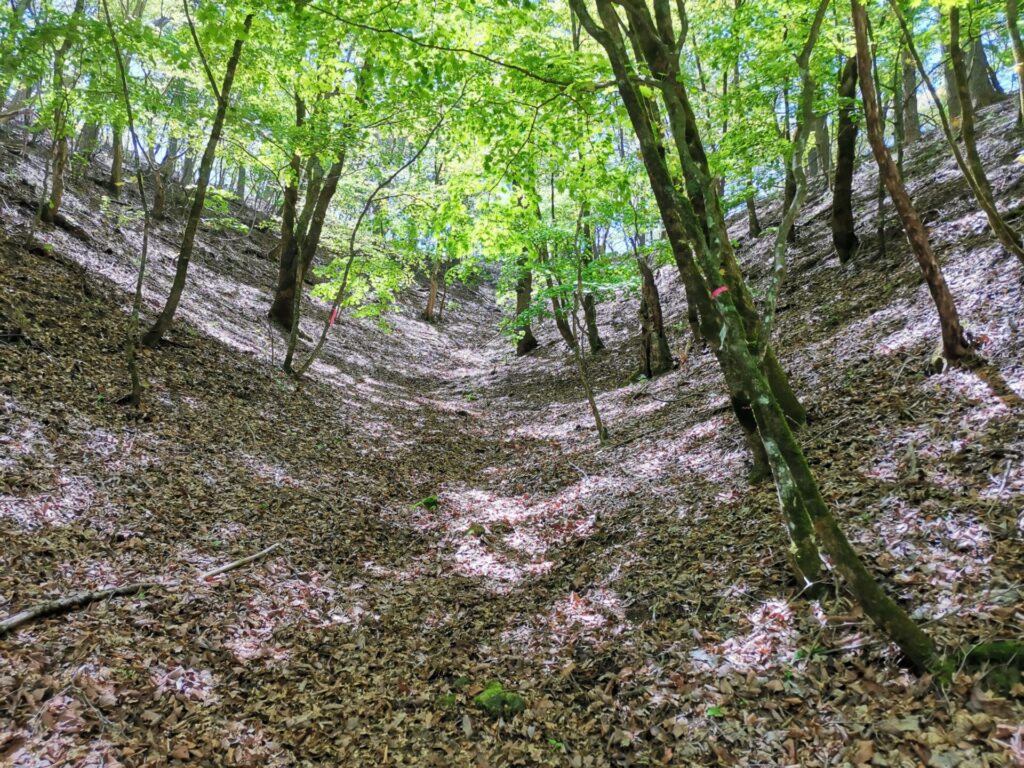 登山道 谷