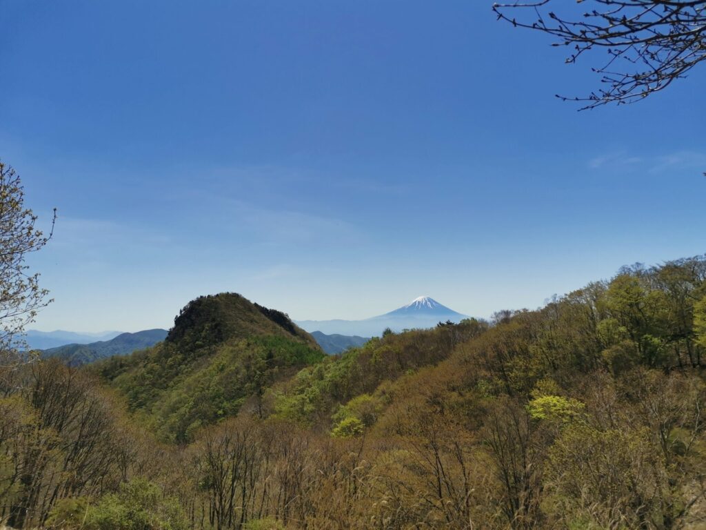 富士山